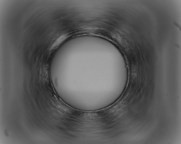 X0000097881354200803281214