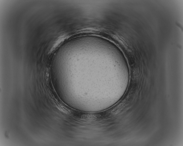 X0000097881355200803281214