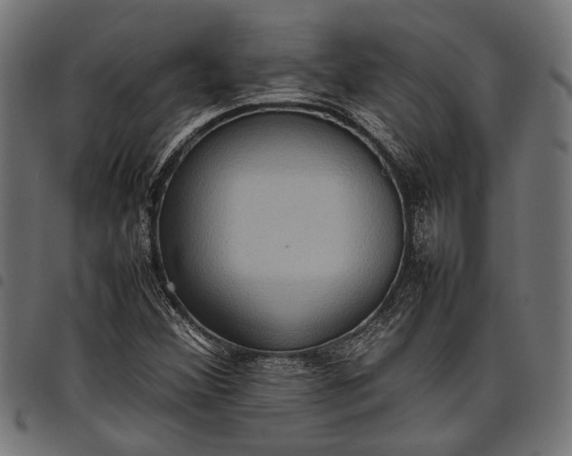 X0000097881356200803281214