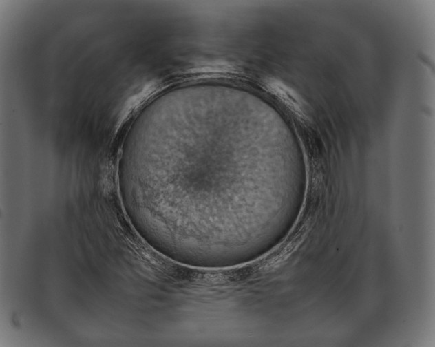 X0000097881357200803281214