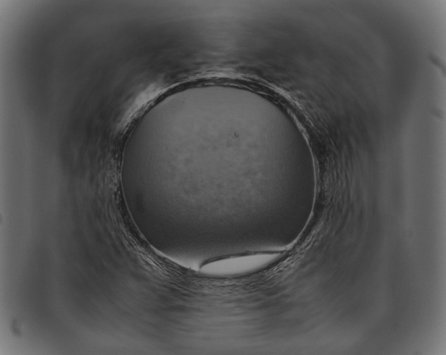 X0000097881359200803281214