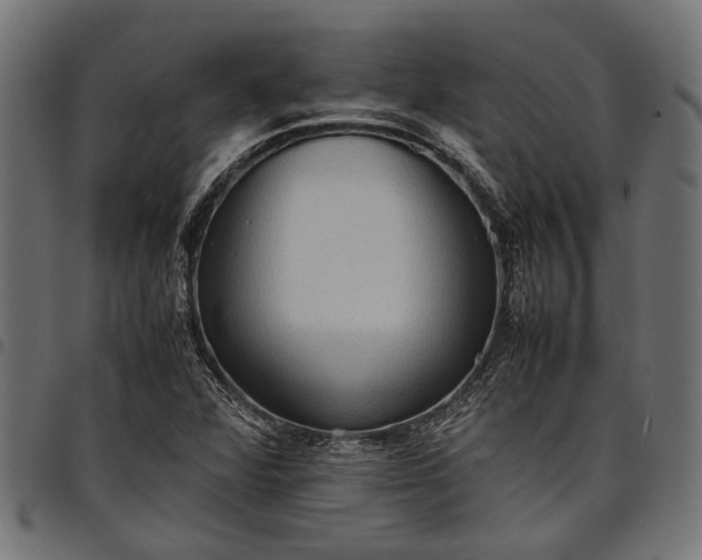 X0000097881360200803281214