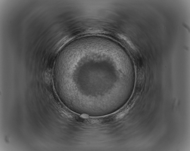 X0000097881361200803281214