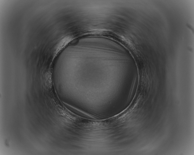 X0000097881362200803281214