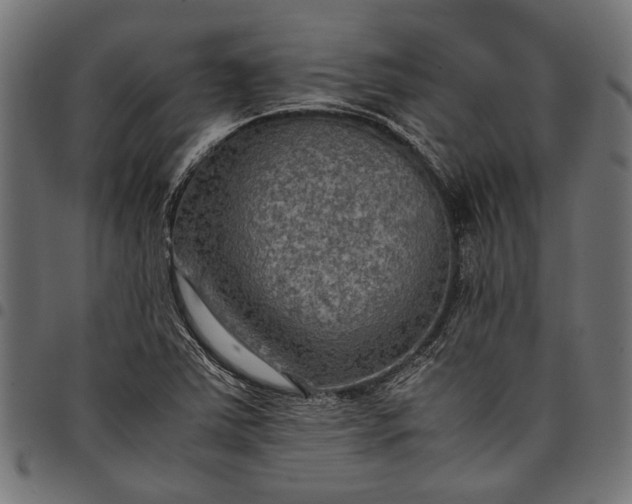 X0000097881363200803281214