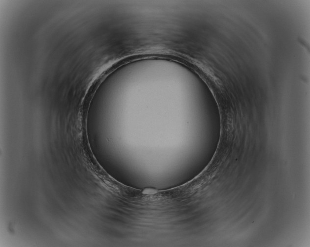 X0000097881364200803281214