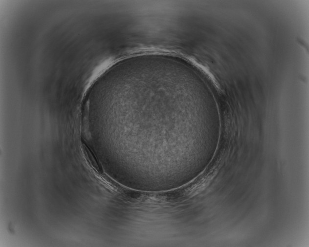 X0000097881365200803281214