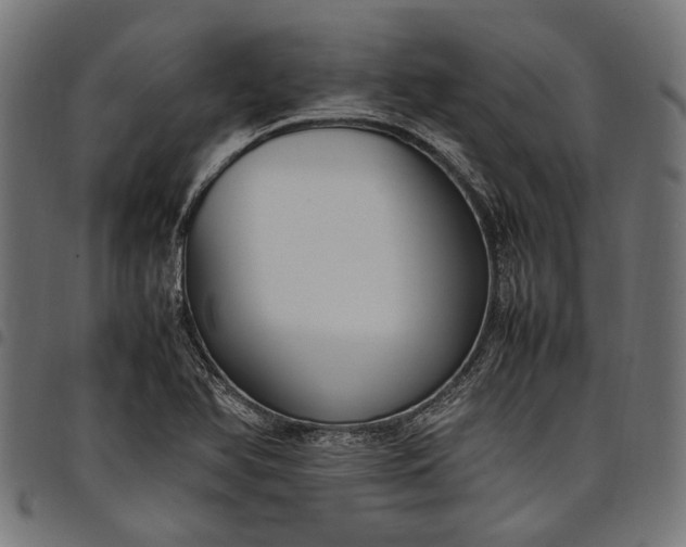 X0000097881366200803281214