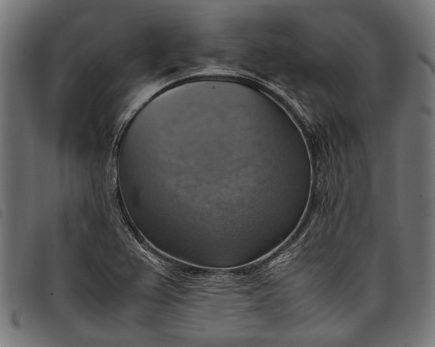 X0000097881367200803281214