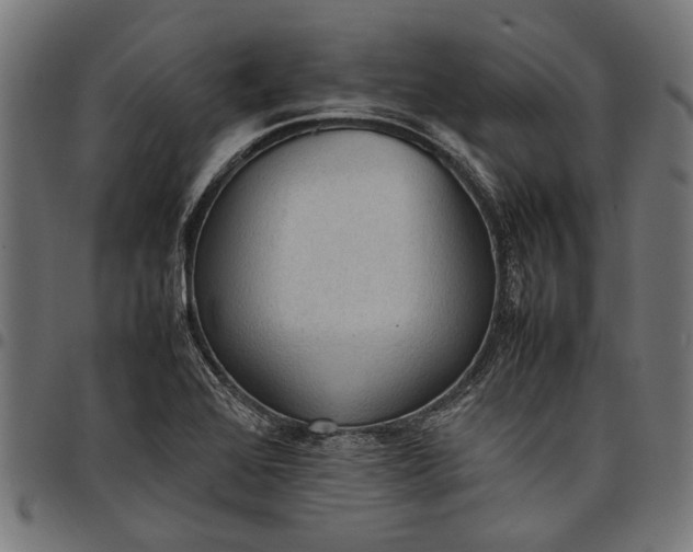 X0000097881368200803281214