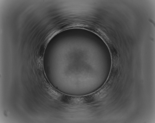 X0000097881369200803281214