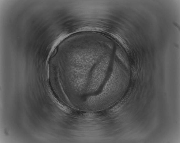 X0000097881371200803281214