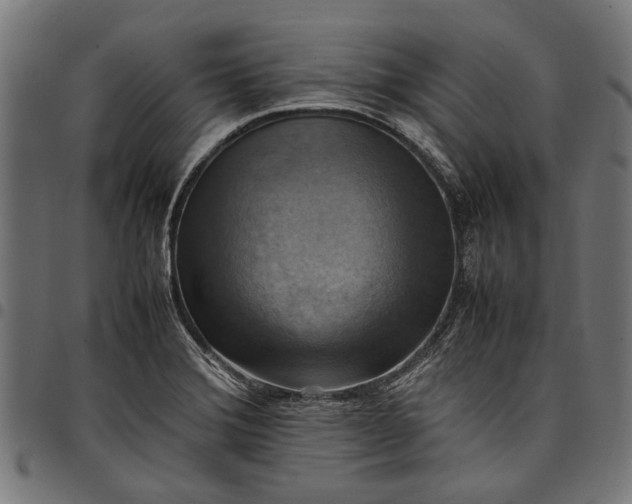 X0000097881372200803281214