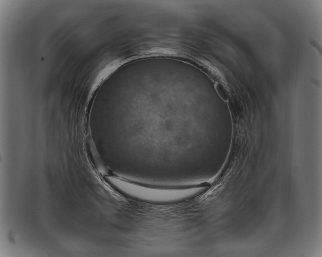 X0000097881373200803281214