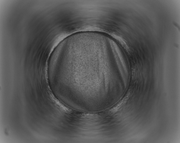 X0000097881374200803281214