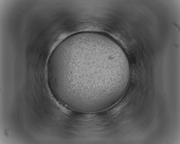 X0000097881375200803281214