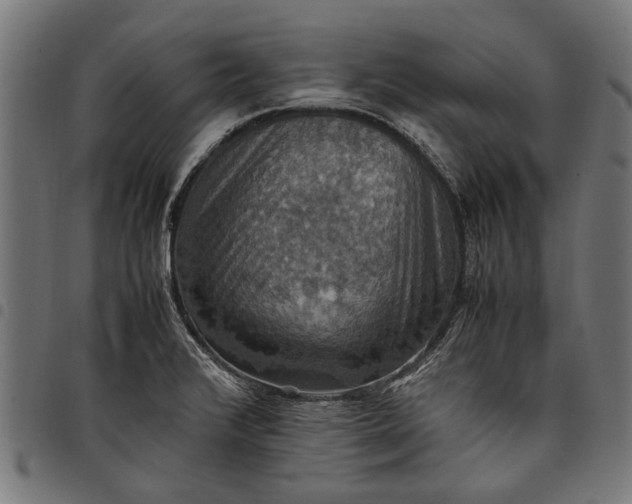 X0000097881376200803281214