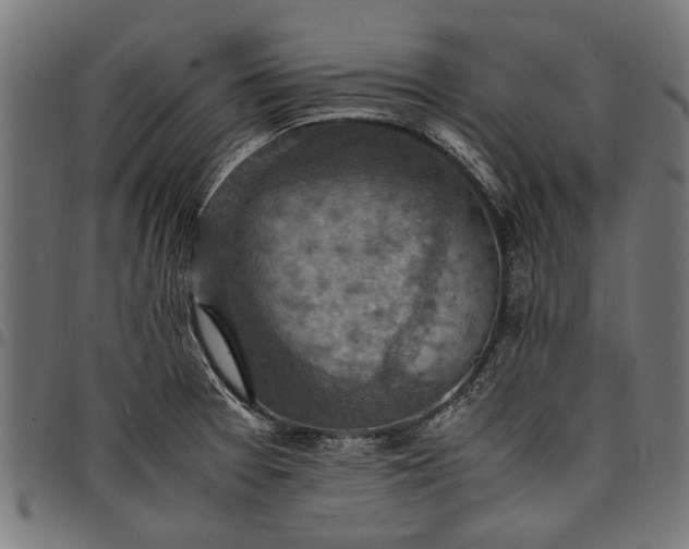 X0000097881377200803281214