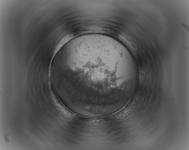 X0000097881378200803281214