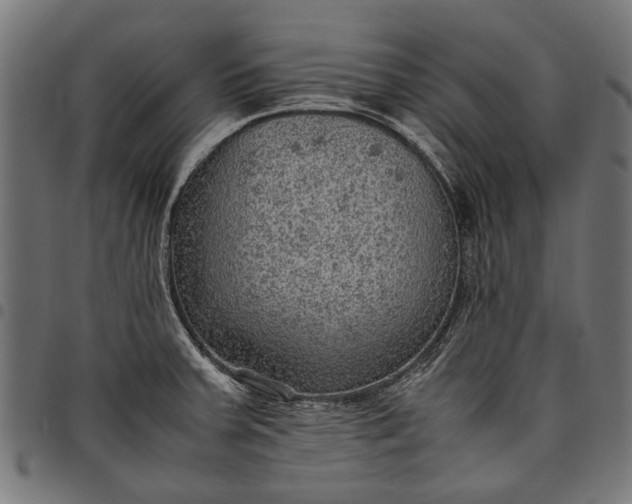 X0000097881379200803281214