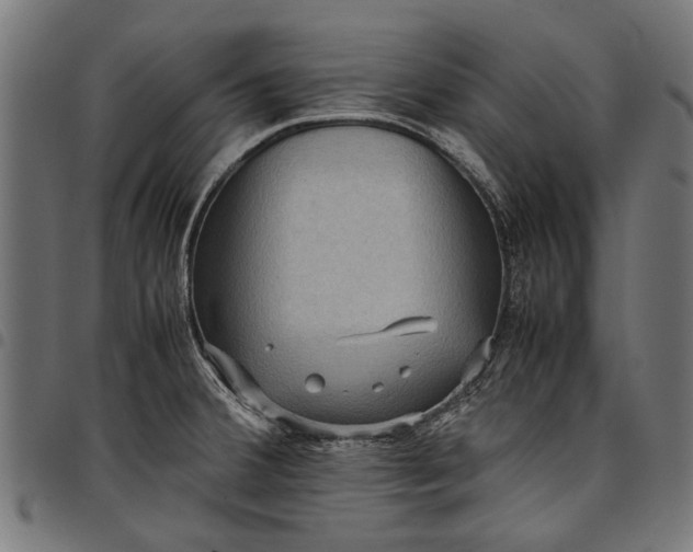 X0000097881380200803281214