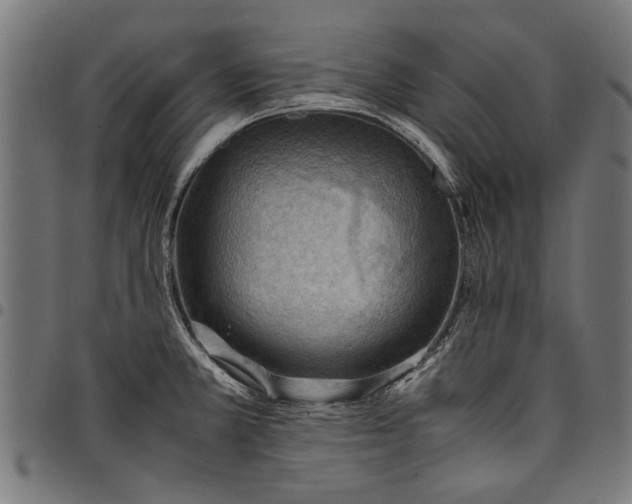 X0000097881381200803281214