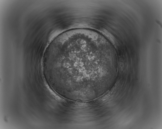 X0000097881382200803281214