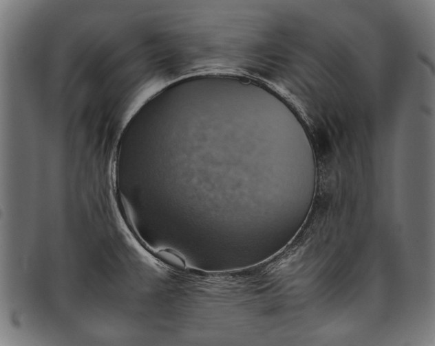 X0000097881383200803281214