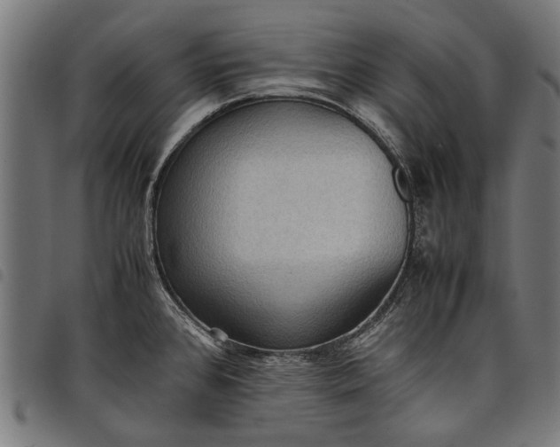 X0000097881384200803281214