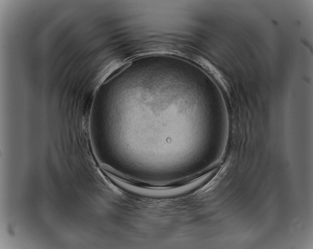 X0000097881385200803281214