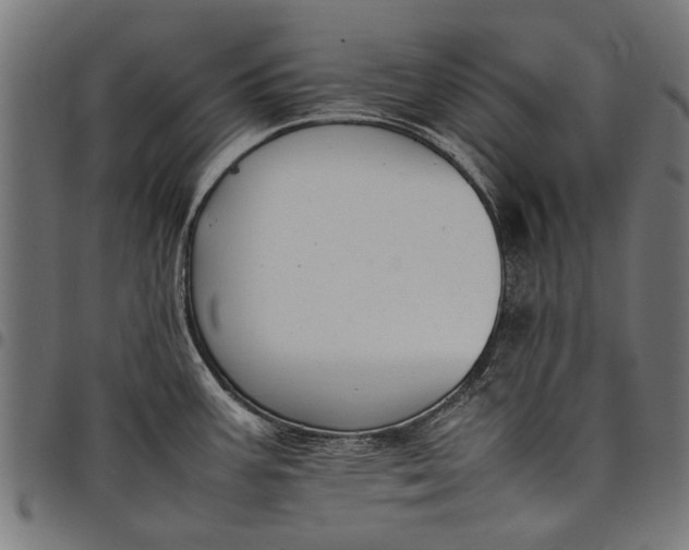 X0000097881387200803281214