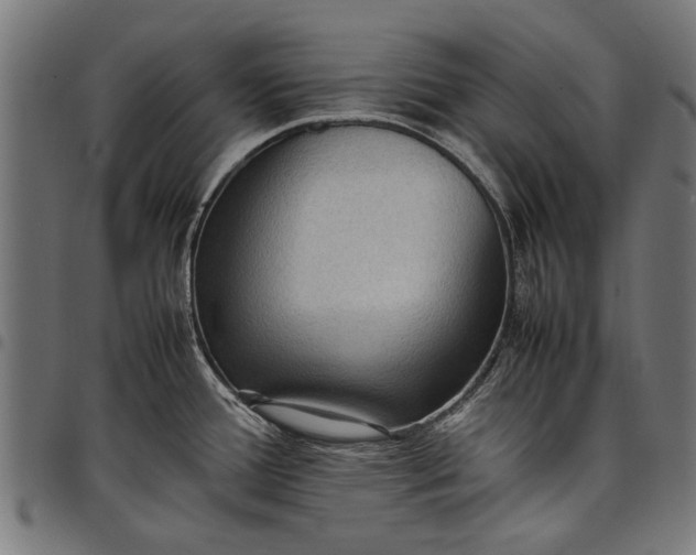 X0000097881388200803281214