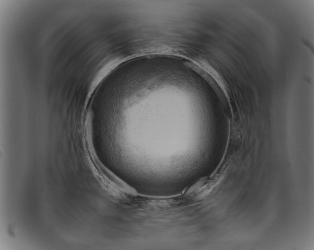 X0000097881389200803281214