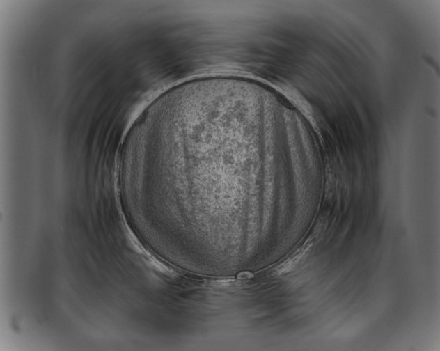 X0000097881390200803281214