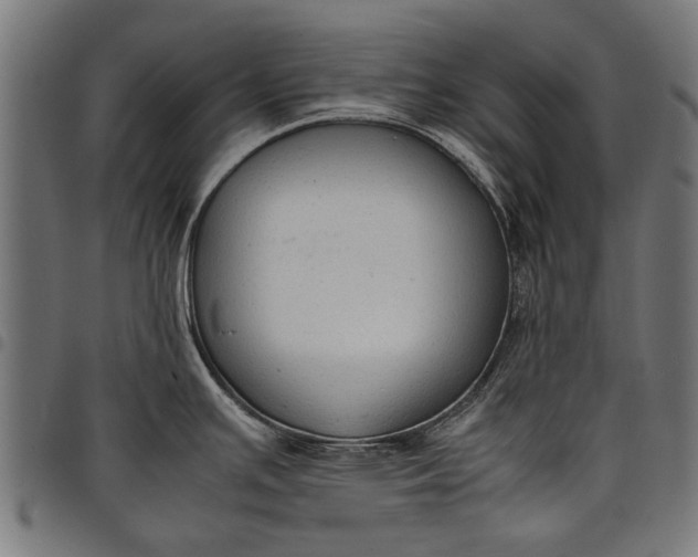 X0000097881391200803281214