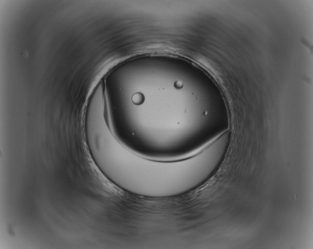 X0000097881392200803281214