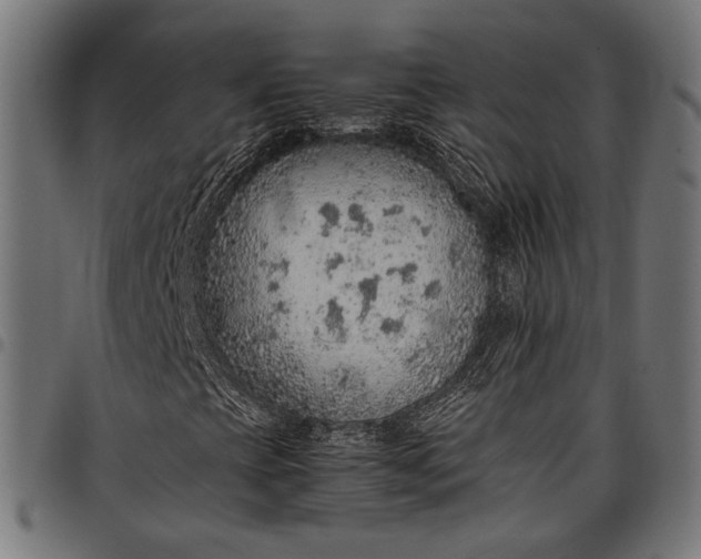 X0000097881393200803281213