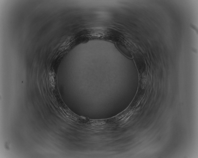 X0000097881394200803281213