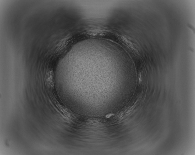 X0000097881396200803281213