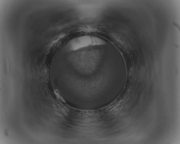 X0000097881398200803281213