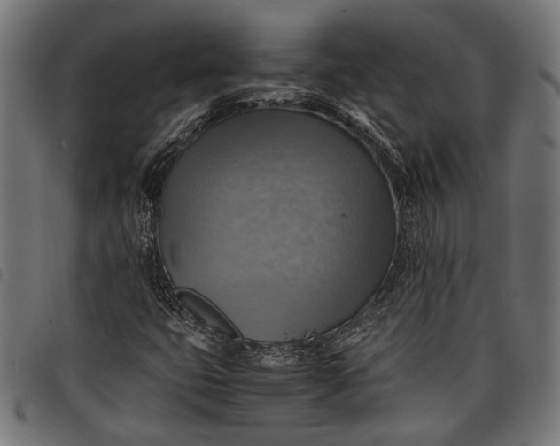 X0000097881399200803281213