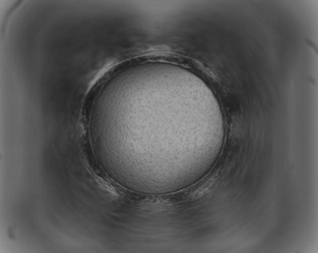 X0000097881400200803281213