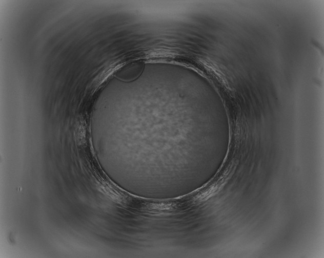 X0000097881401200803281213