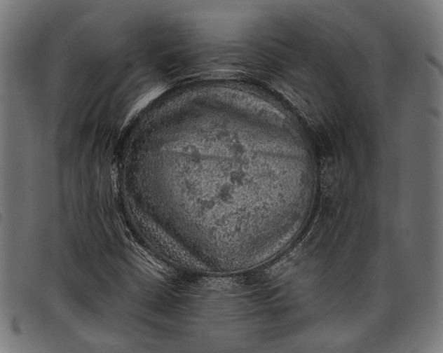 X0000097881402200803281213