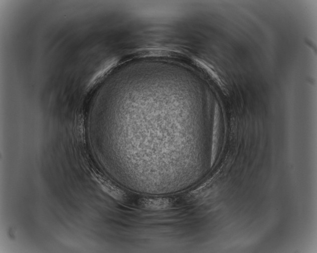 X0000097881403200803281213