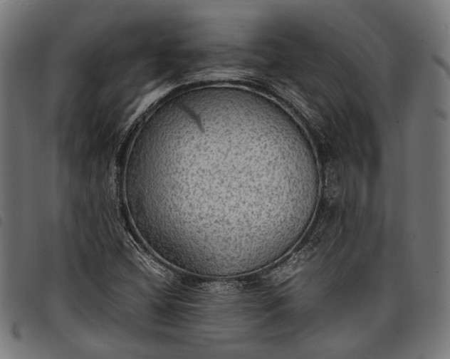 X0000097881404200803281213