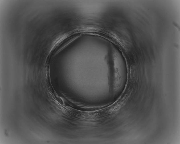 X0000097881405200803281213