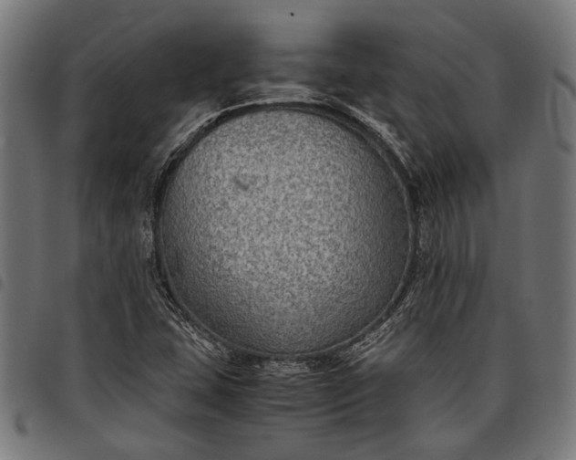 X0000097881407200803281213