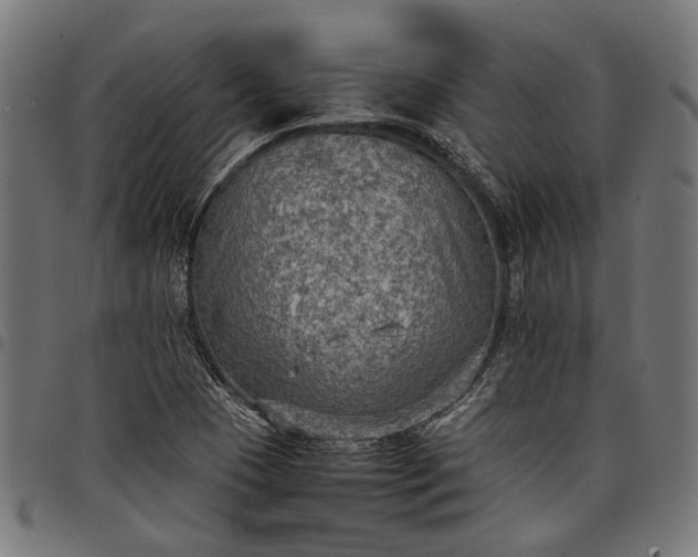 X0000097881409200803281213