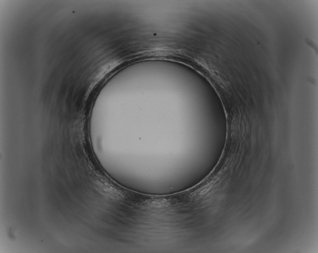 X0000097881410200803281213